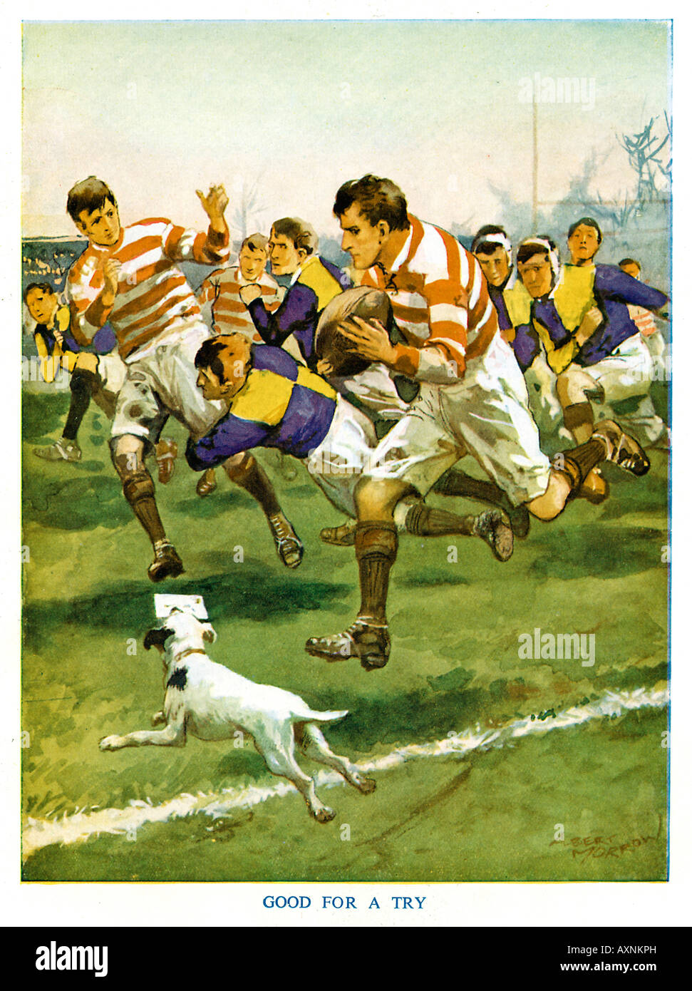 Rugby illustration 1920 hires stock photography and images Alamy