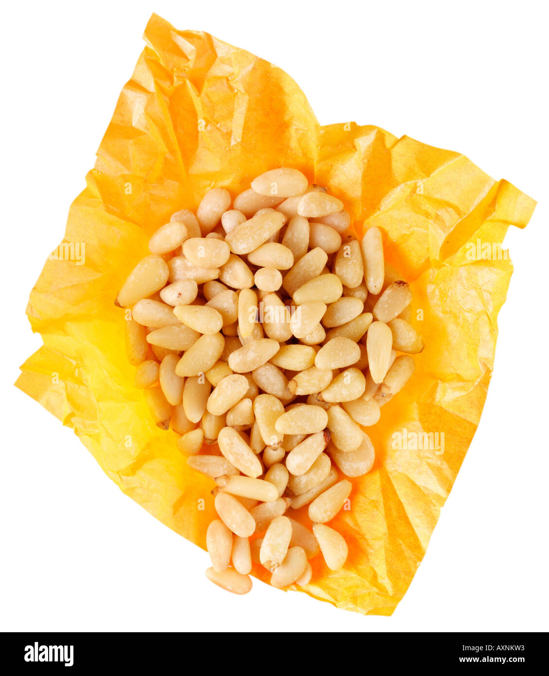 PINE NUTS  CUT OUT Stock Photo
