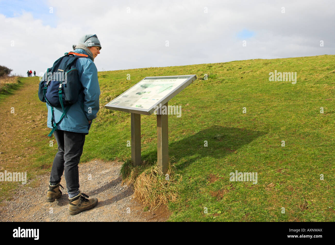 Walker looks at map information display on footpath at 'Sand Point' Avon England Stock Photo