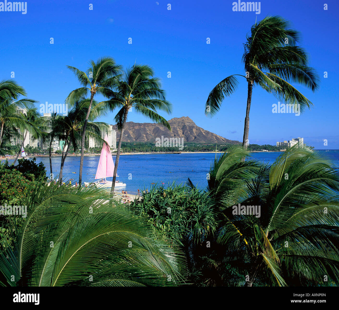 Waikiki Oahu Hawaii USA Stock Photo - Alamy