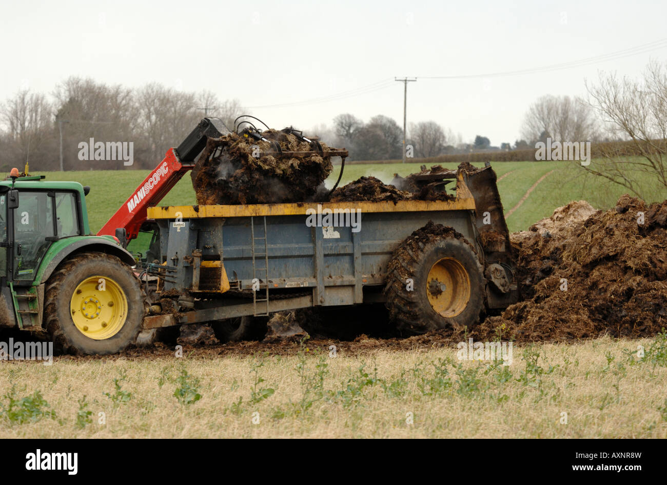 muck spreading in early spring. Chippenham, Cambs Stock Photo