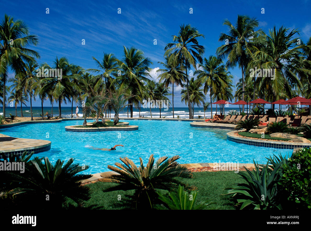 Guarajuba beach, Costa do Sauipe, Bahia, Brazil Stock Photo Alamy