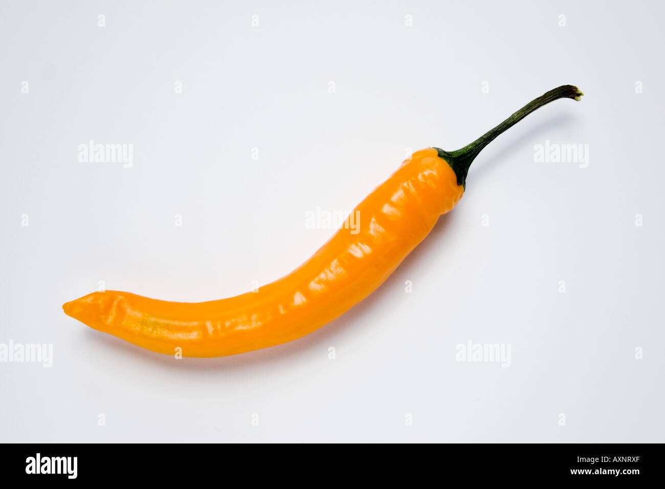 Math Yellow Chilli one yellow chilli Stock Photo - Alamy
