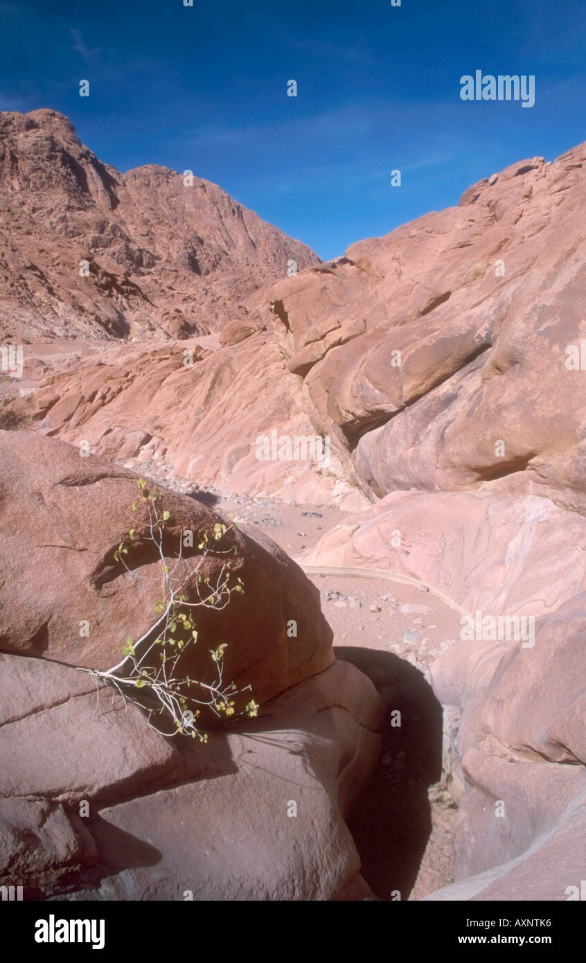 Wadi Shagg. High Mountains of Southern Sinai. Egypt Stock Photo