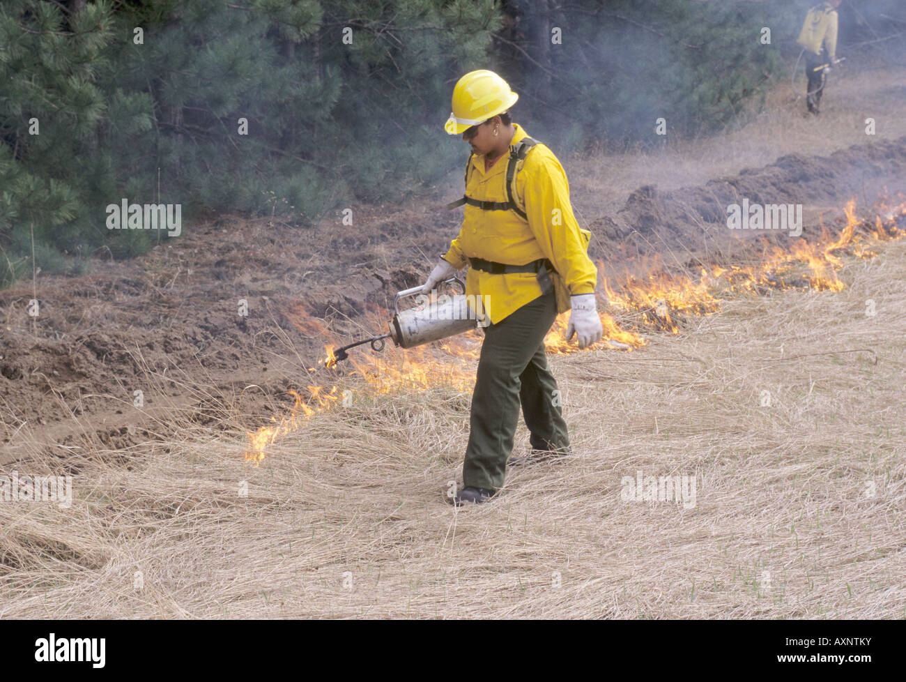 Fire fighters use drip torches to set backfire along a fireline Stock ...