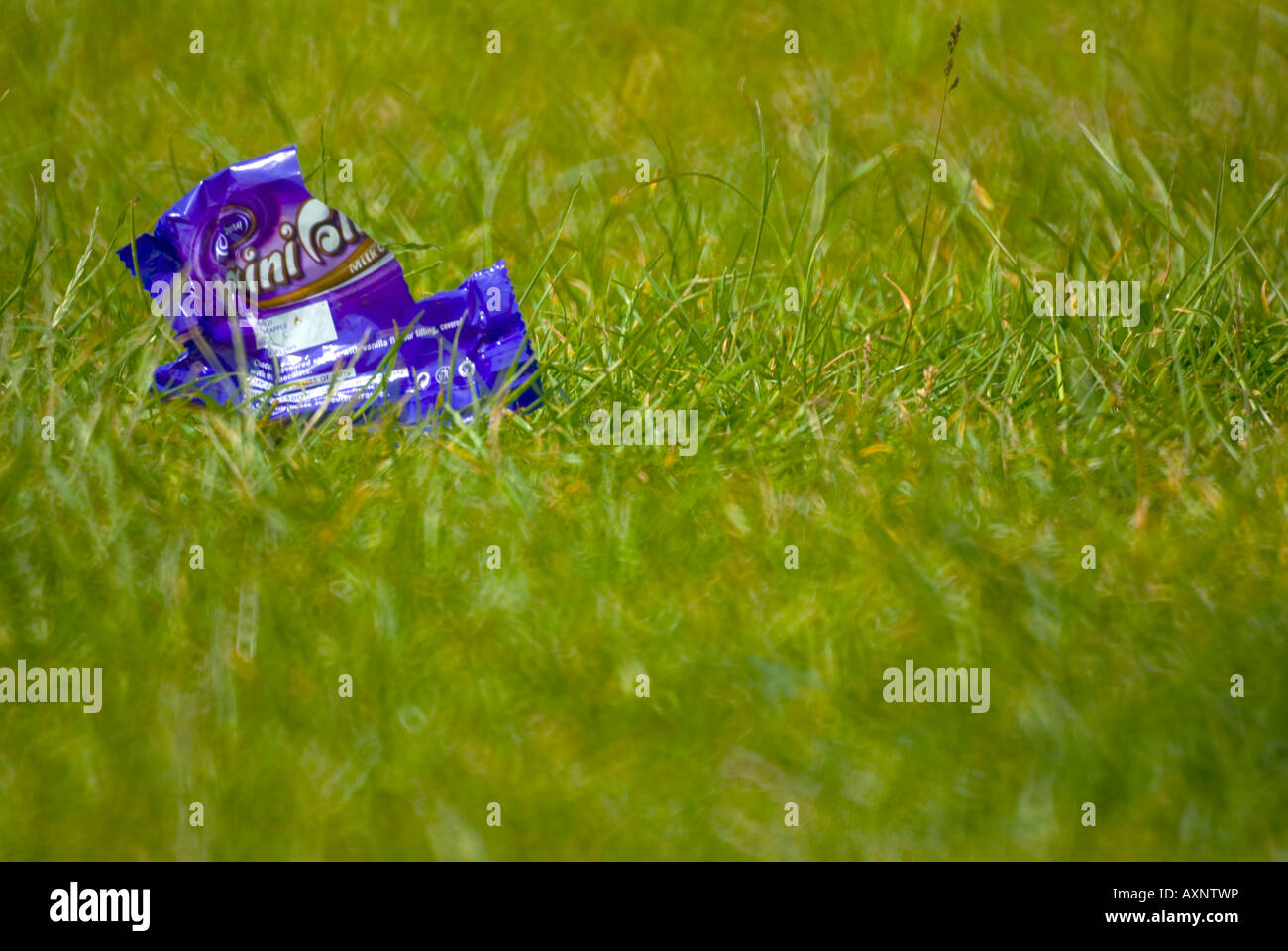 Litter everywhere hotsell