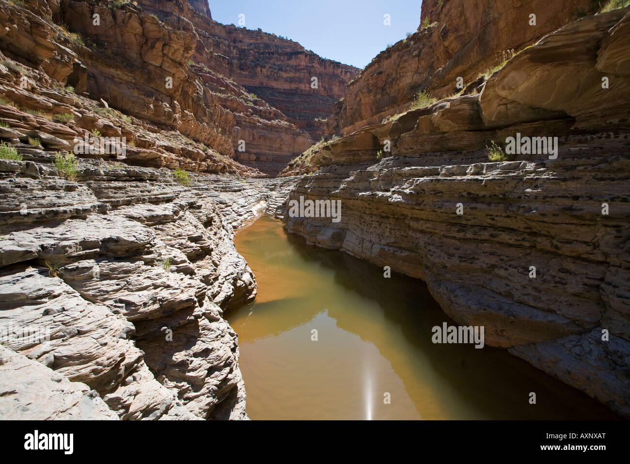 Dark Canyon, Utah Stock Photo - Alamy