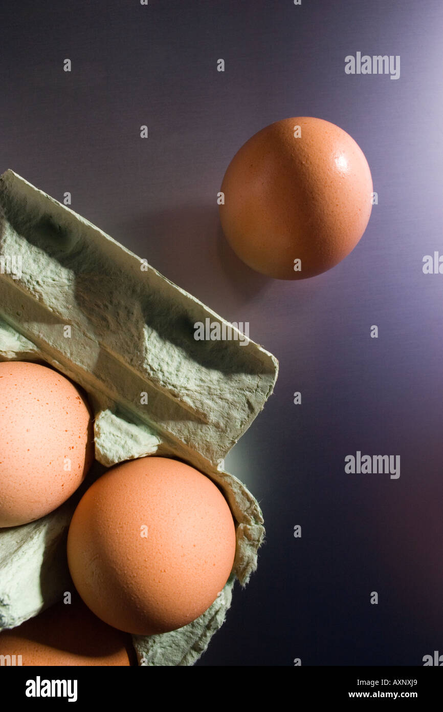 eggs in egg box Stock Photo Alamy