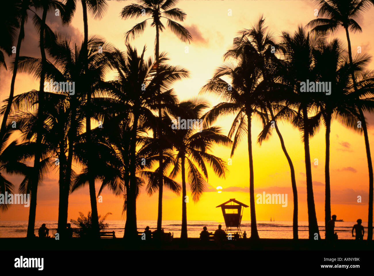 Sunset honolulu hi-res stock photography and images - Alamy