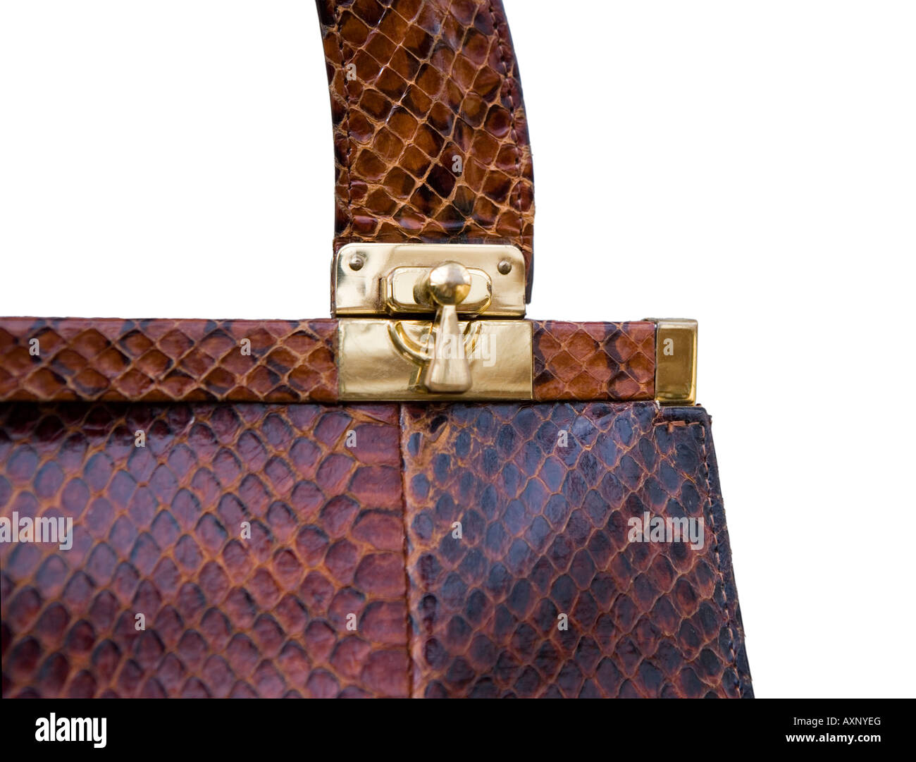 Snakeskin handbag hi-res stock photography and images - Alamy