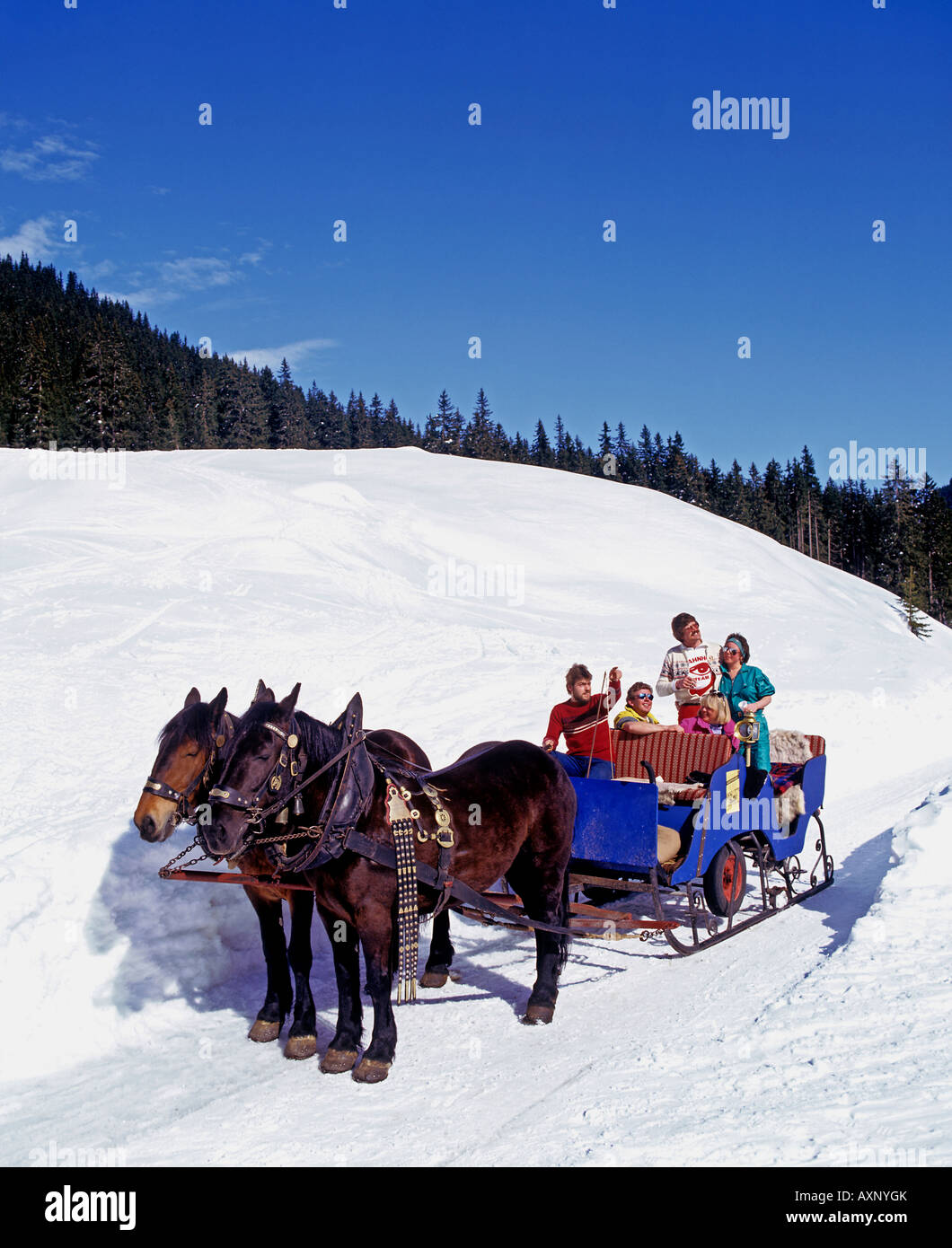 0390 Sleigh ride Stock Photo