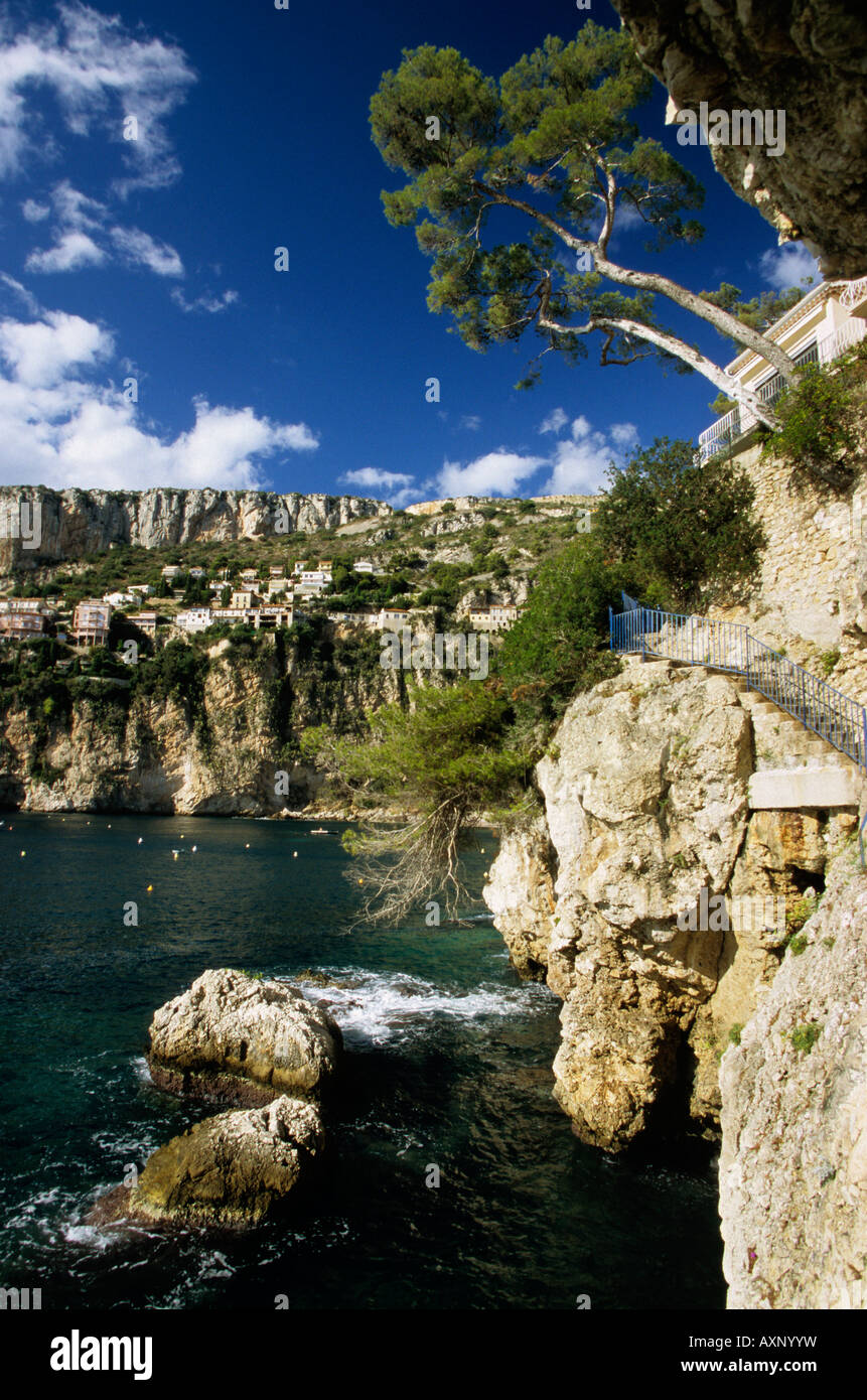 Cap d ail hi-res stock photography and images - Alamy