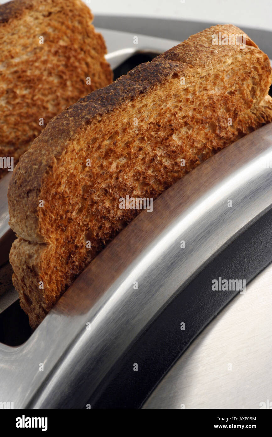 Toast and toaster. Stock Photo