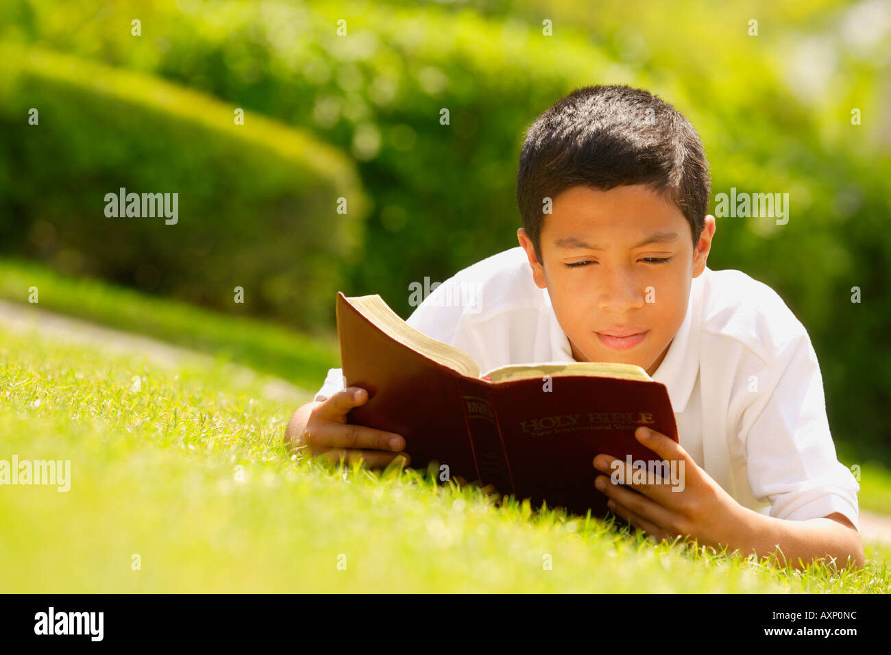 Young boy reading Bible Stock Photo