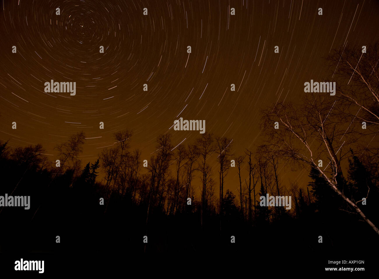 STARS LEAVE A CIRCULAR PATTERN IN THE NIGHT SKY ABOVE THE BOUDARY WATERS CANOE AREA MINNESOTA Stock Photo