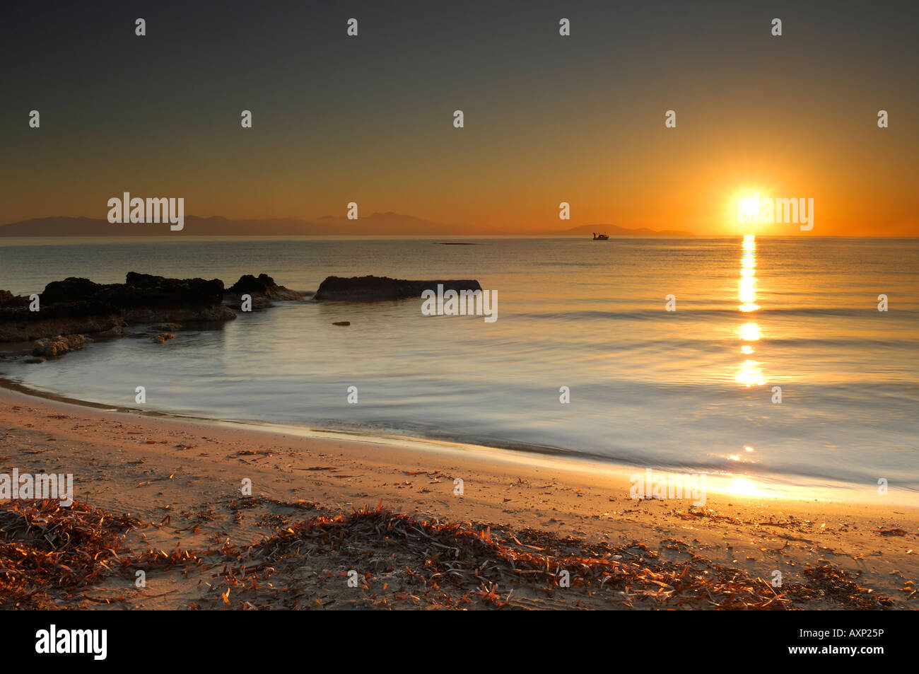 Joy sunrise hi-res stock photography and images - Alamy