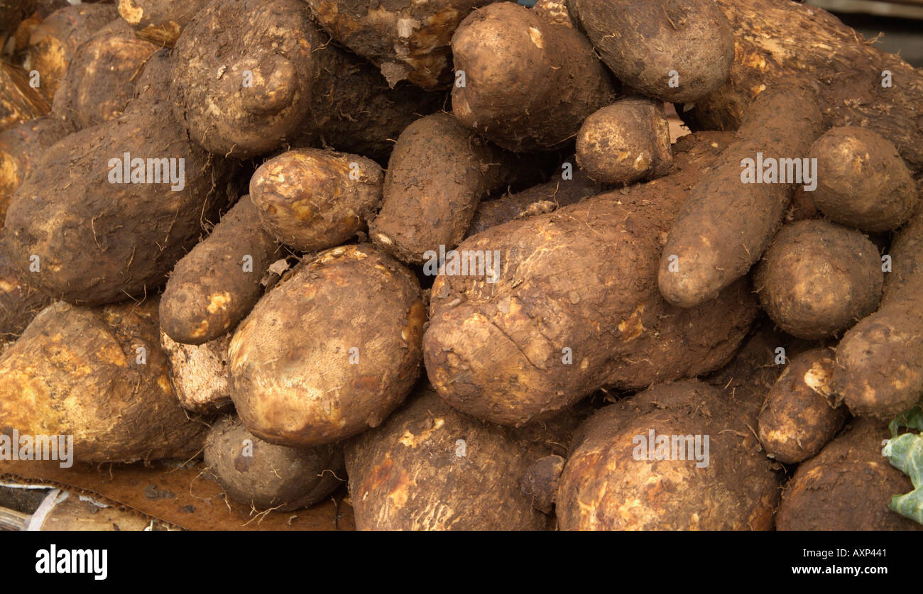 Yams vegetable grenada caribbean hires stock photography and images
