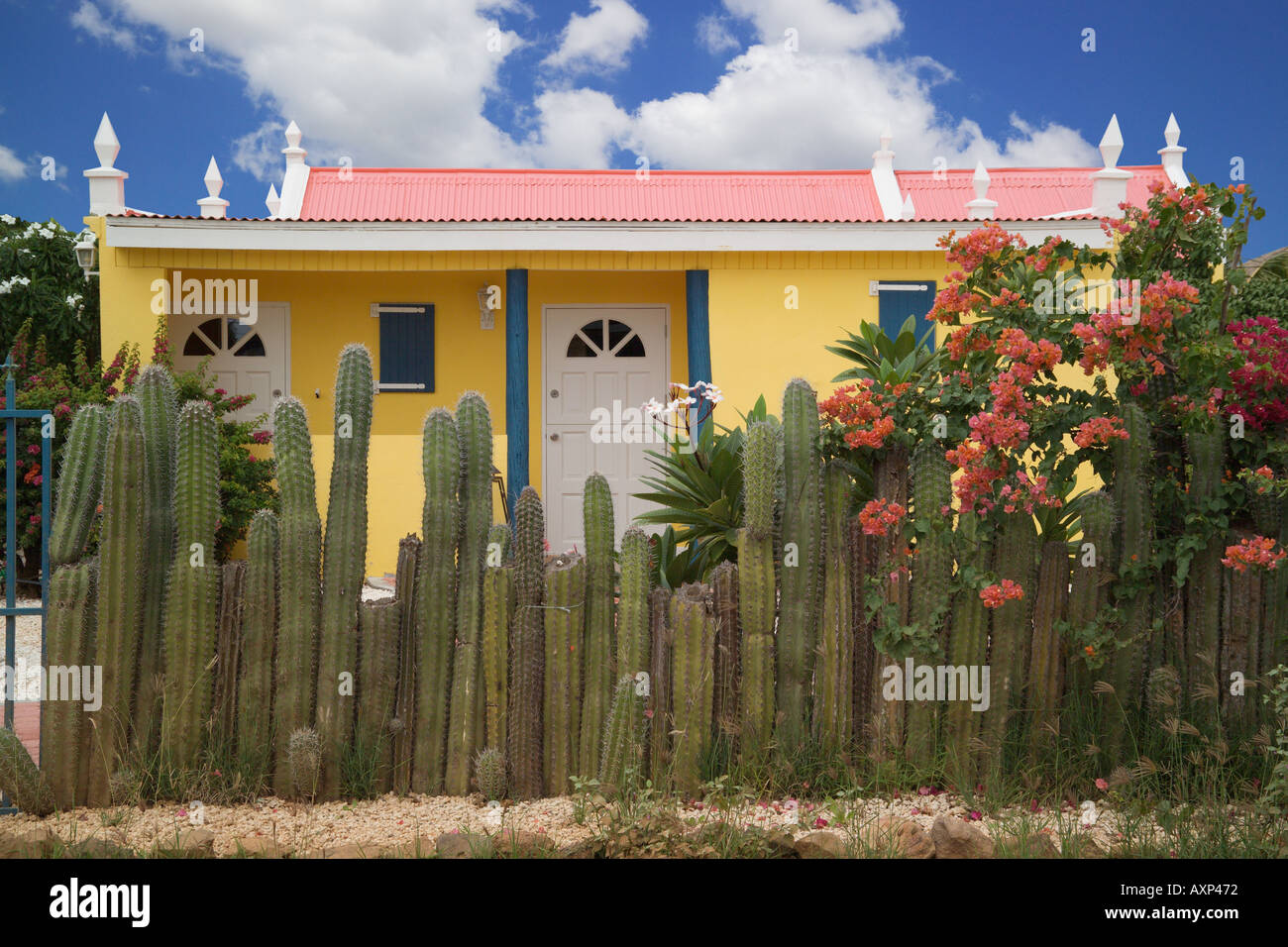 Typical coloured house Aruba Caribbean Stock Photo Alamy