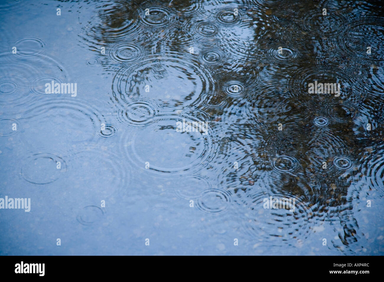 Raindrops Stock Photo