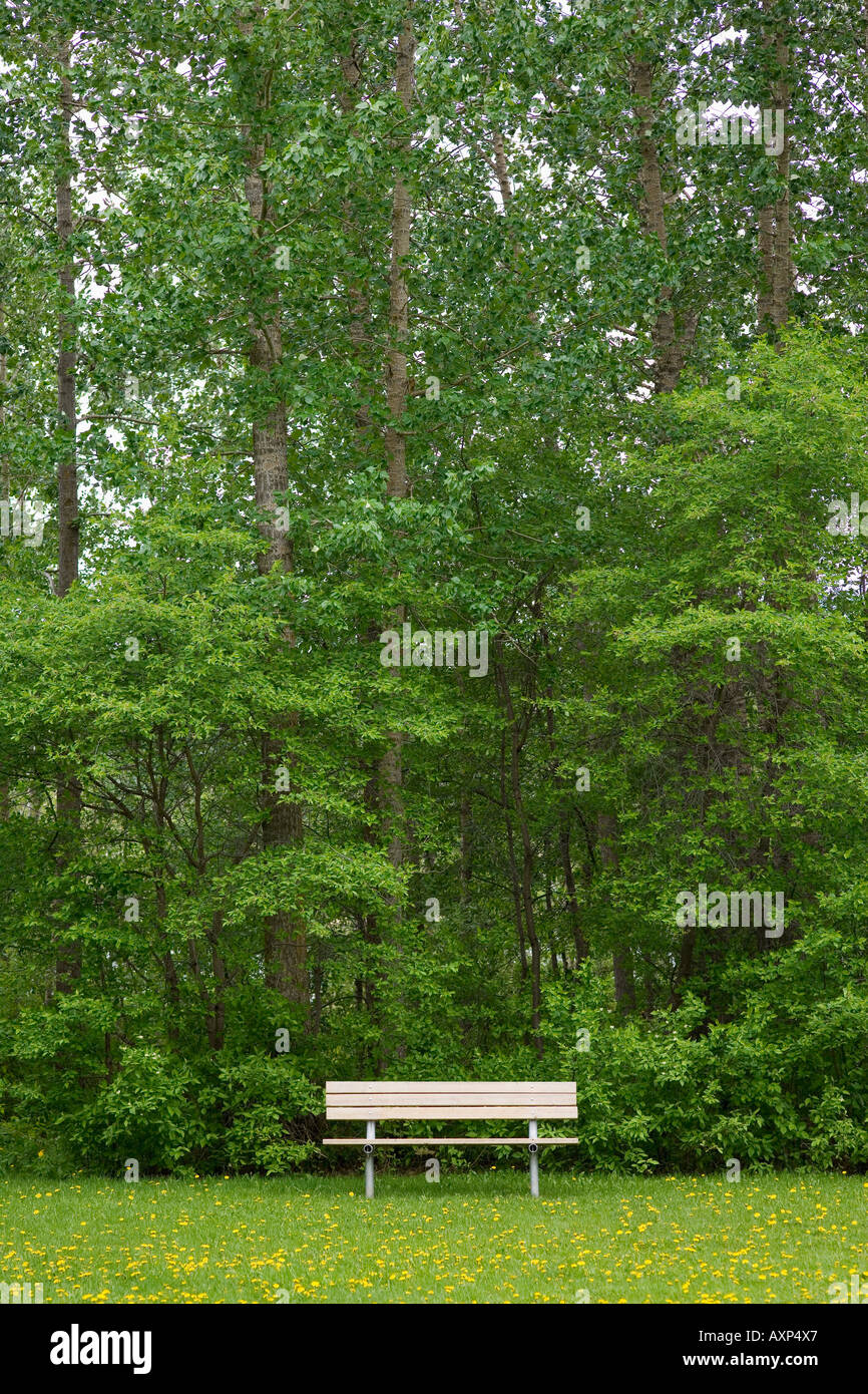 Bench park hi-res stock photography and images - Alamy