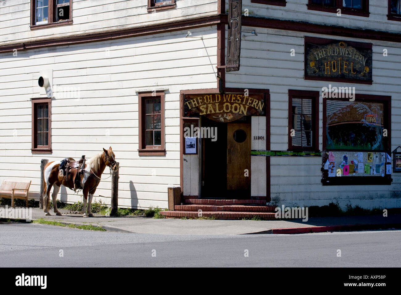 Horse and Saloon, Point Reyes Station, California Stock Photo Alamy