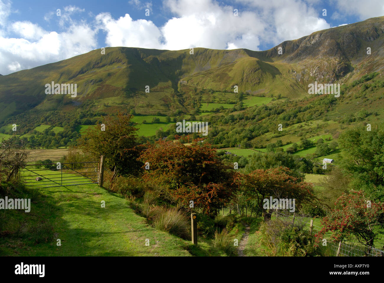 Landscape Cwm Cywarch Dinas Mawddwy Cambrian Mountains North West Wales
