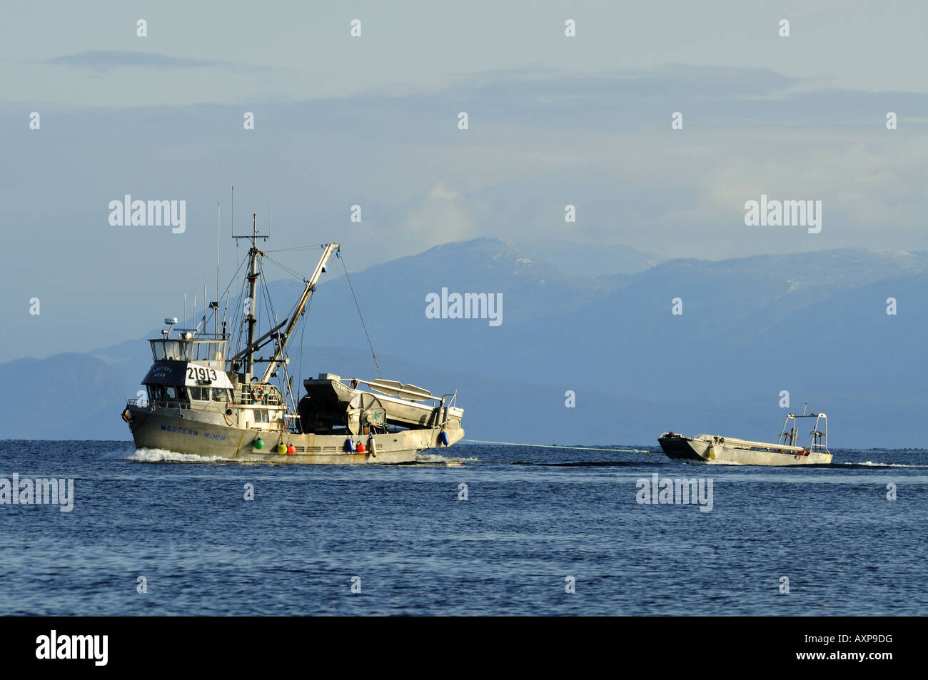 Herring Seine Netter Towing it's Skiff in the Strait of Georgia Vancouver Island BC Canada Stock Photo