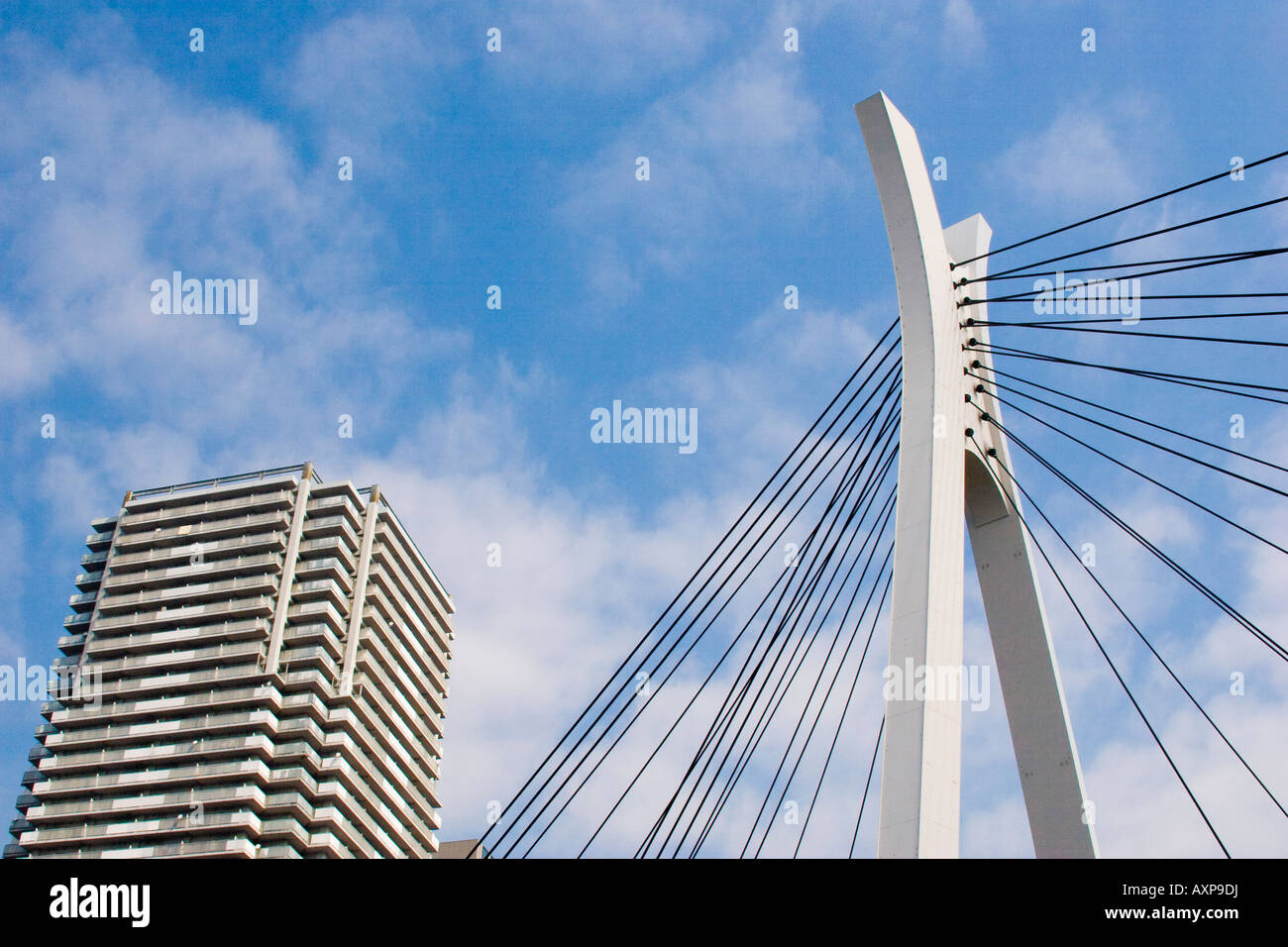 Single tower cable stayed bridge on the Sumida River in Tokyo Japan Stock Photo