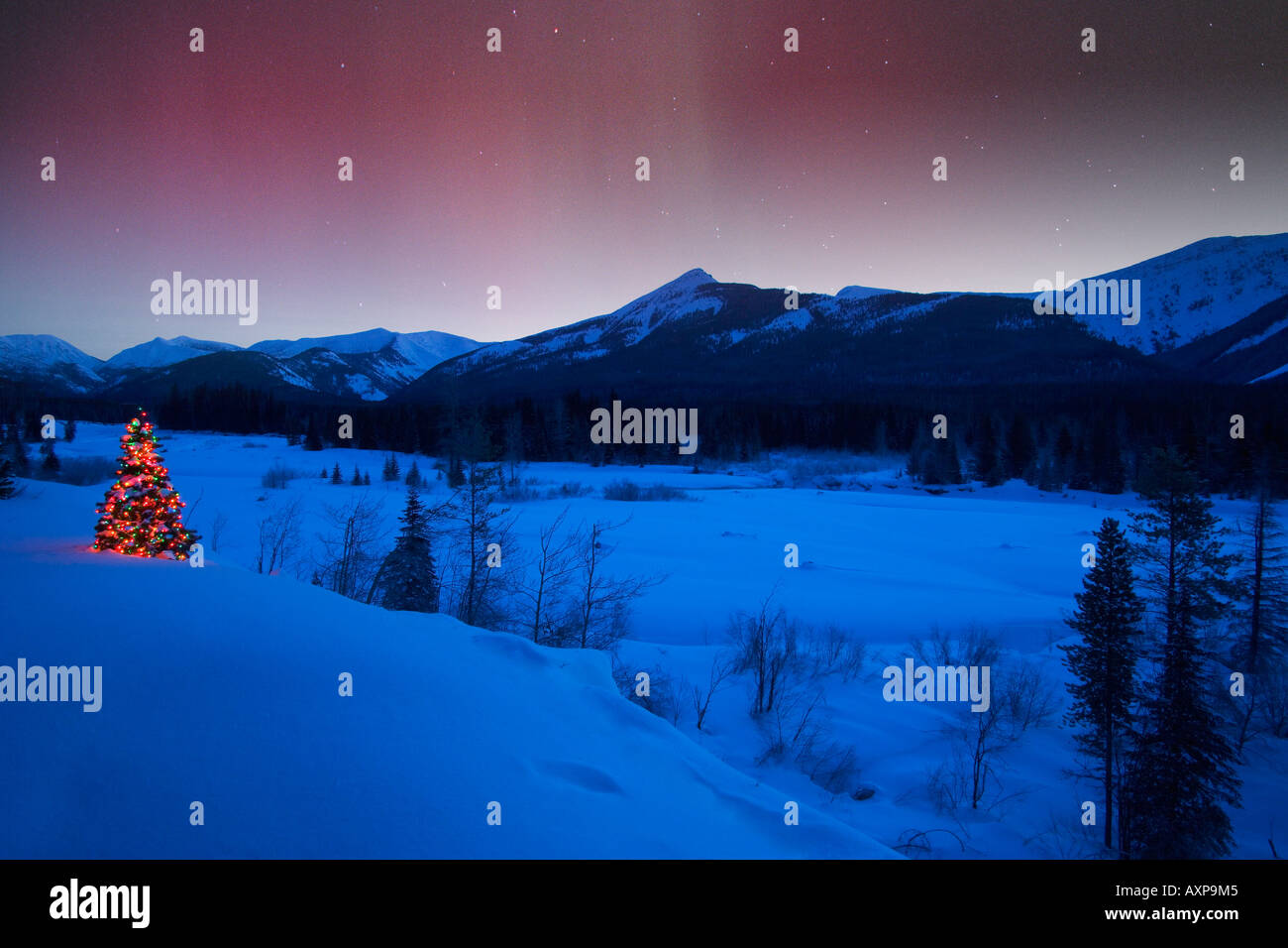 Hoffman Digital Panel Northern Lights Christmas Tree Borealis Visual