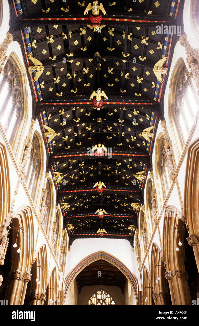 Carved gilt gold angel timber roof Nave St Mary Magdalene Church Taunton Somerset English Medieval architecture England UK Stock Photo