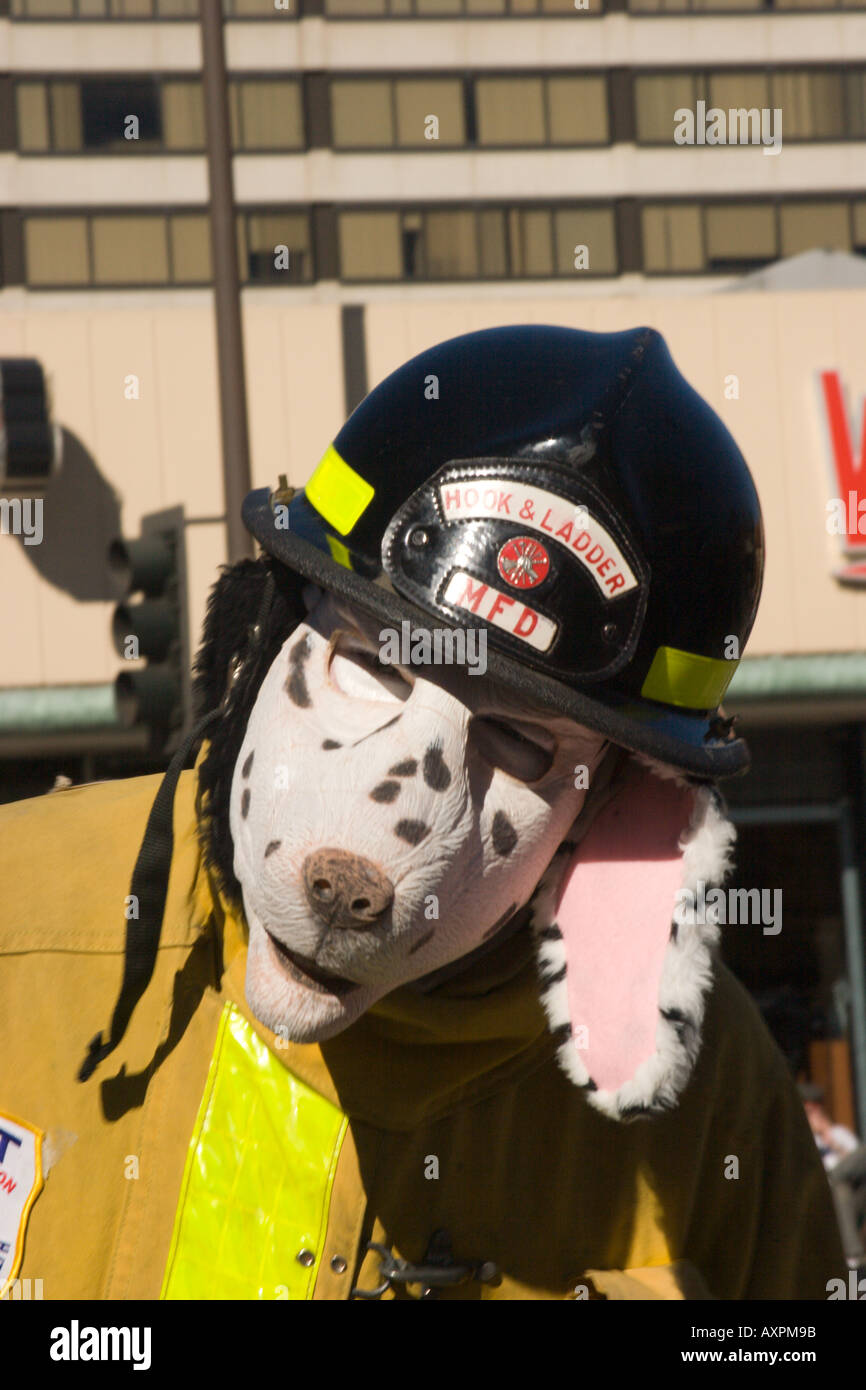 Dog fireman in the Doo Dah Parade 2005, Colorado Blvd & Pasadena Ave Stock Photo