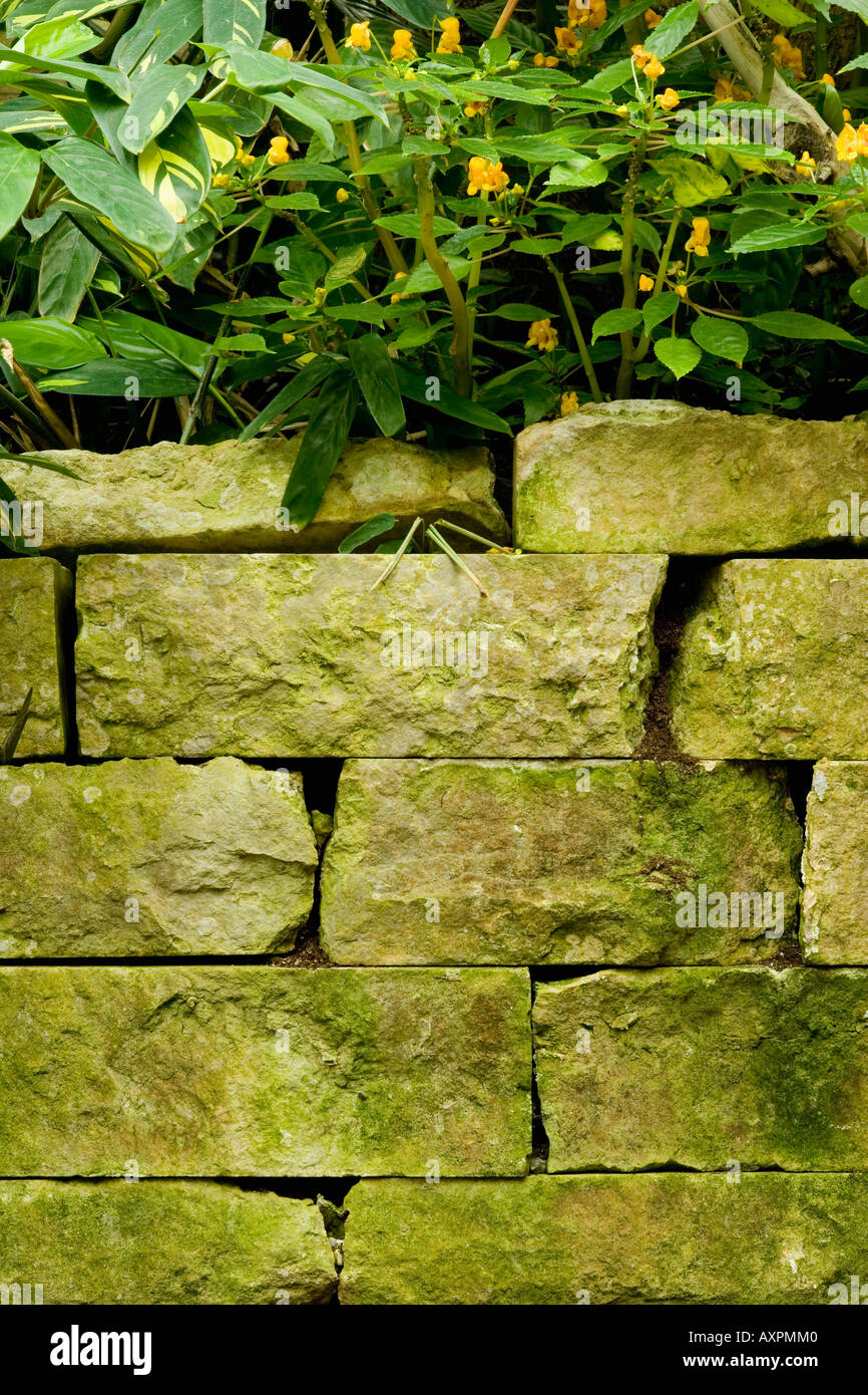 Stone planter Stock Photo