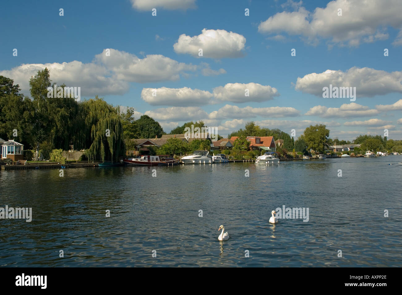 europe uk england sunbury on thames riverside riverscape Stock Photo