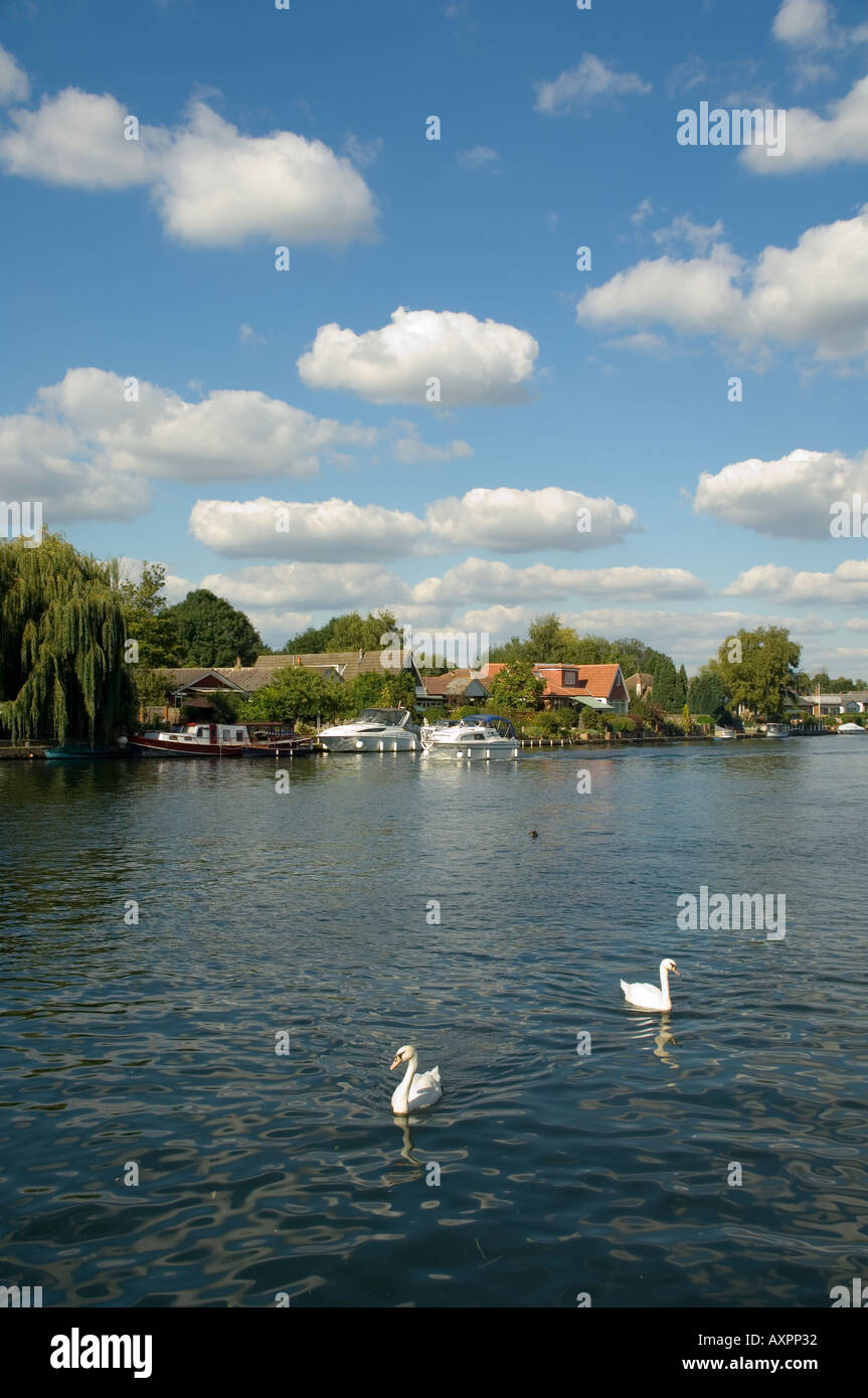 europe uk england sunbury on thames riverside riverscape Stock Photo