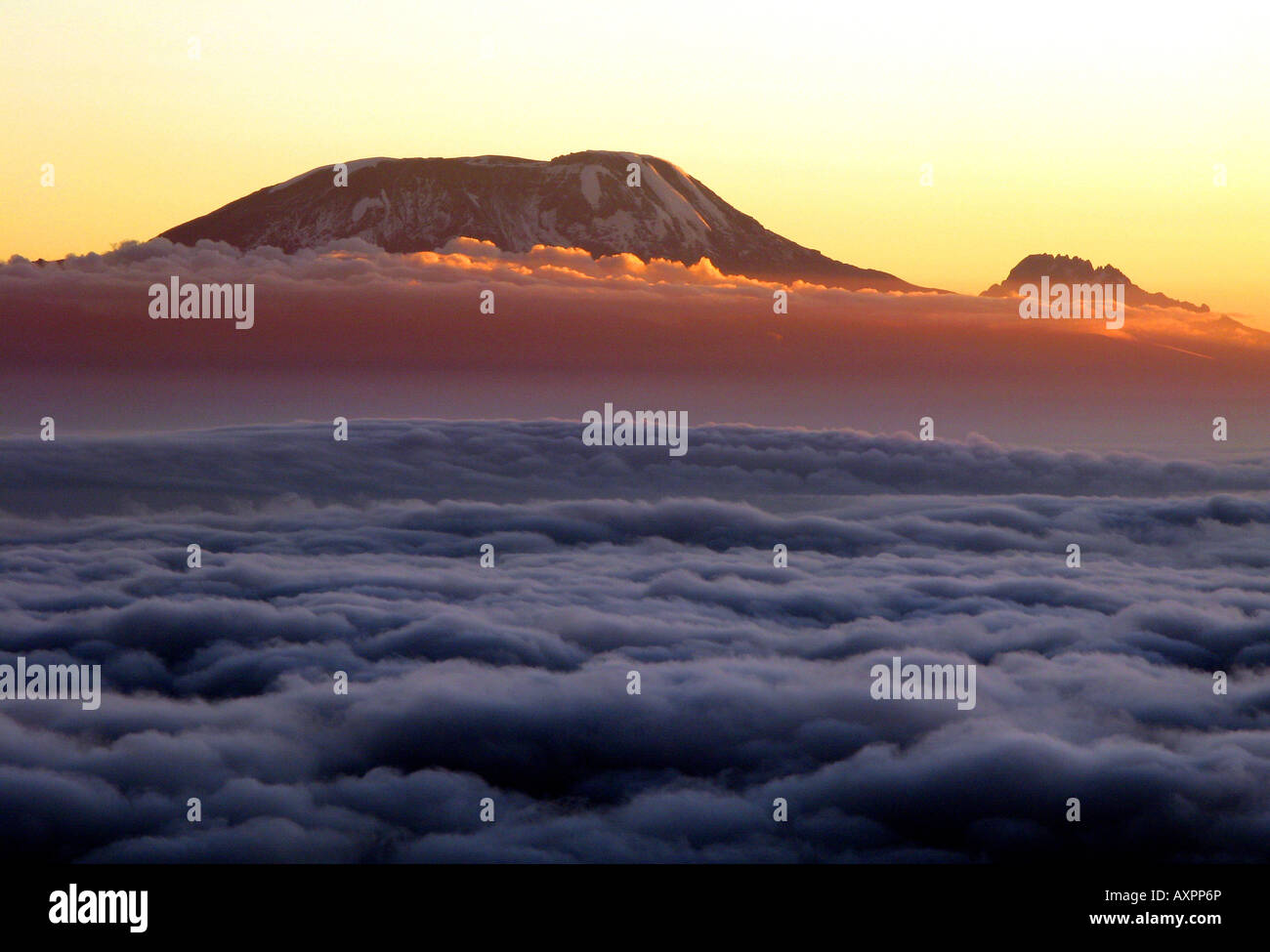 The summit of Kilimanjaro rising above the clouds, Tanzania, East Africa. The highest mountain in Africa, one the seven summits. Stock Photo