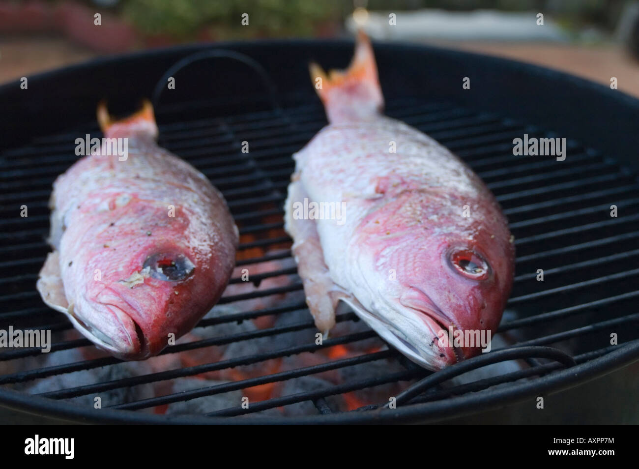 Closeup of red snapper on grill Stock Photo Alamy
