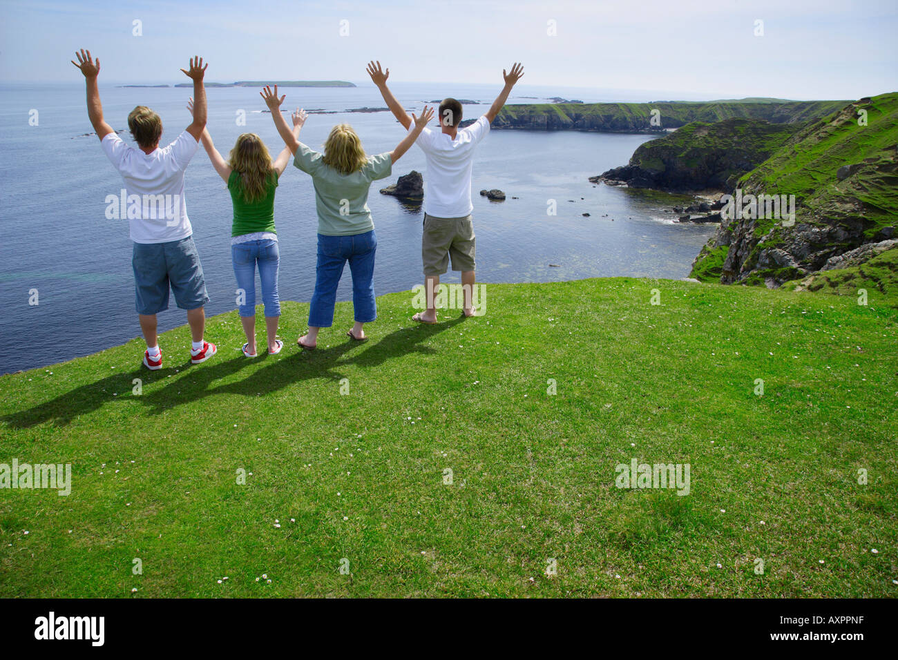 Family systems hi-res stock photography and images - Alamy