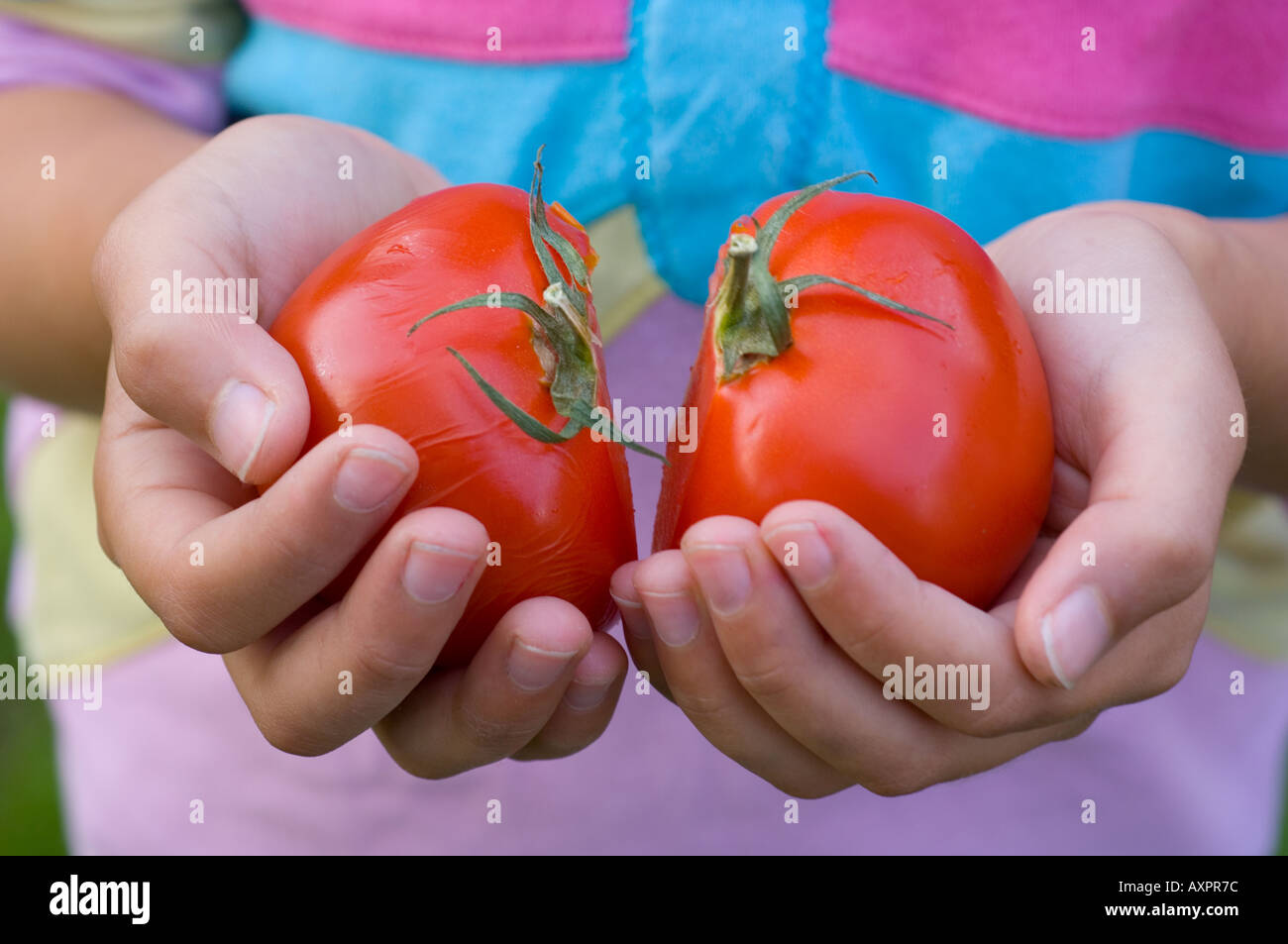 Two tomato halves hi-res stock photography and images - Alamy