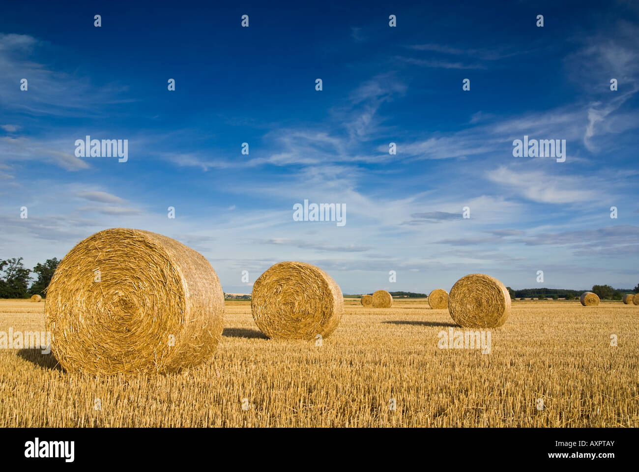 Straw bales on farmland with blue cloudy sky Stock Photo - Alamy