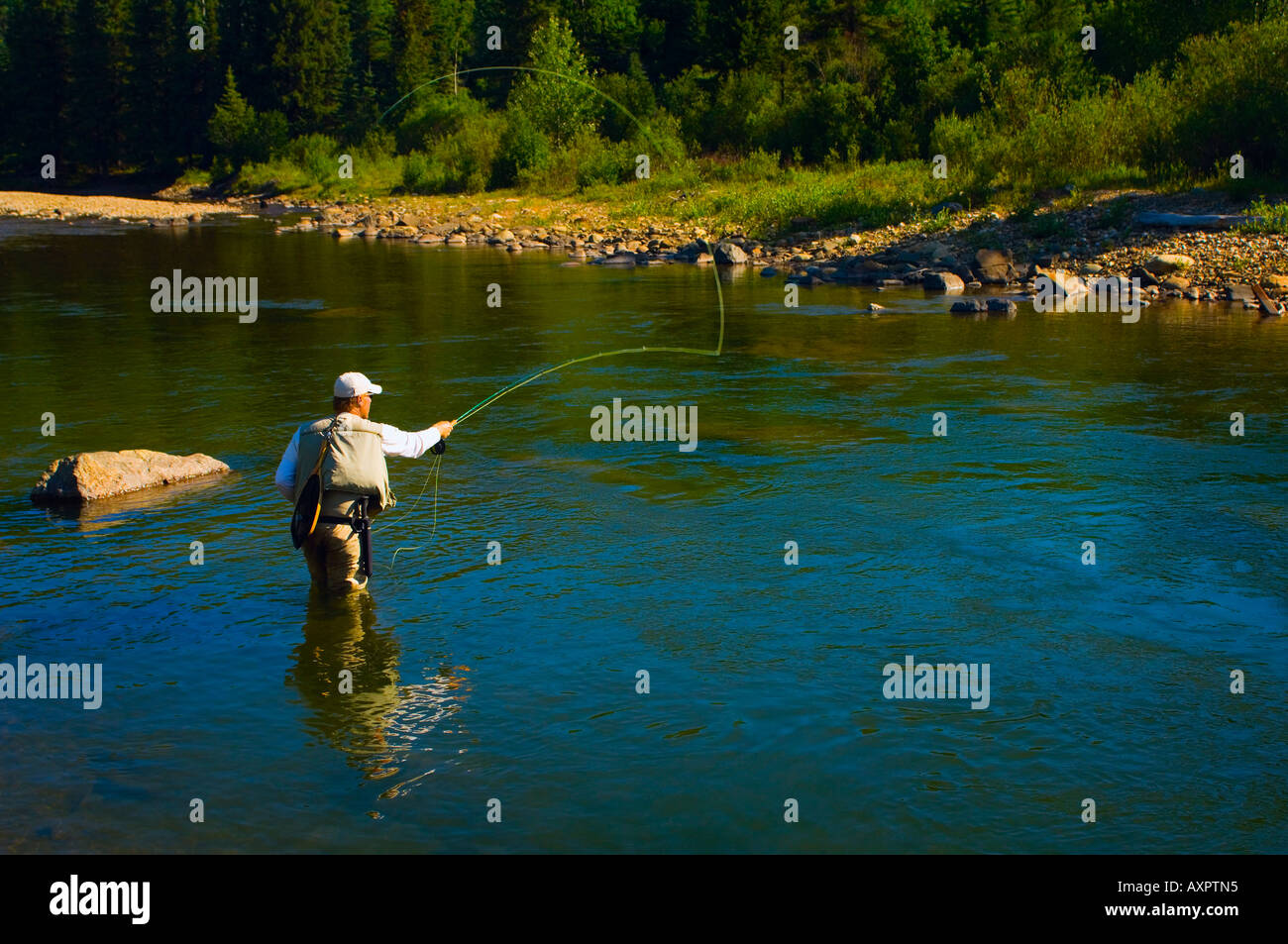 Fly fishing in Alberta Stock Photo Alamy
