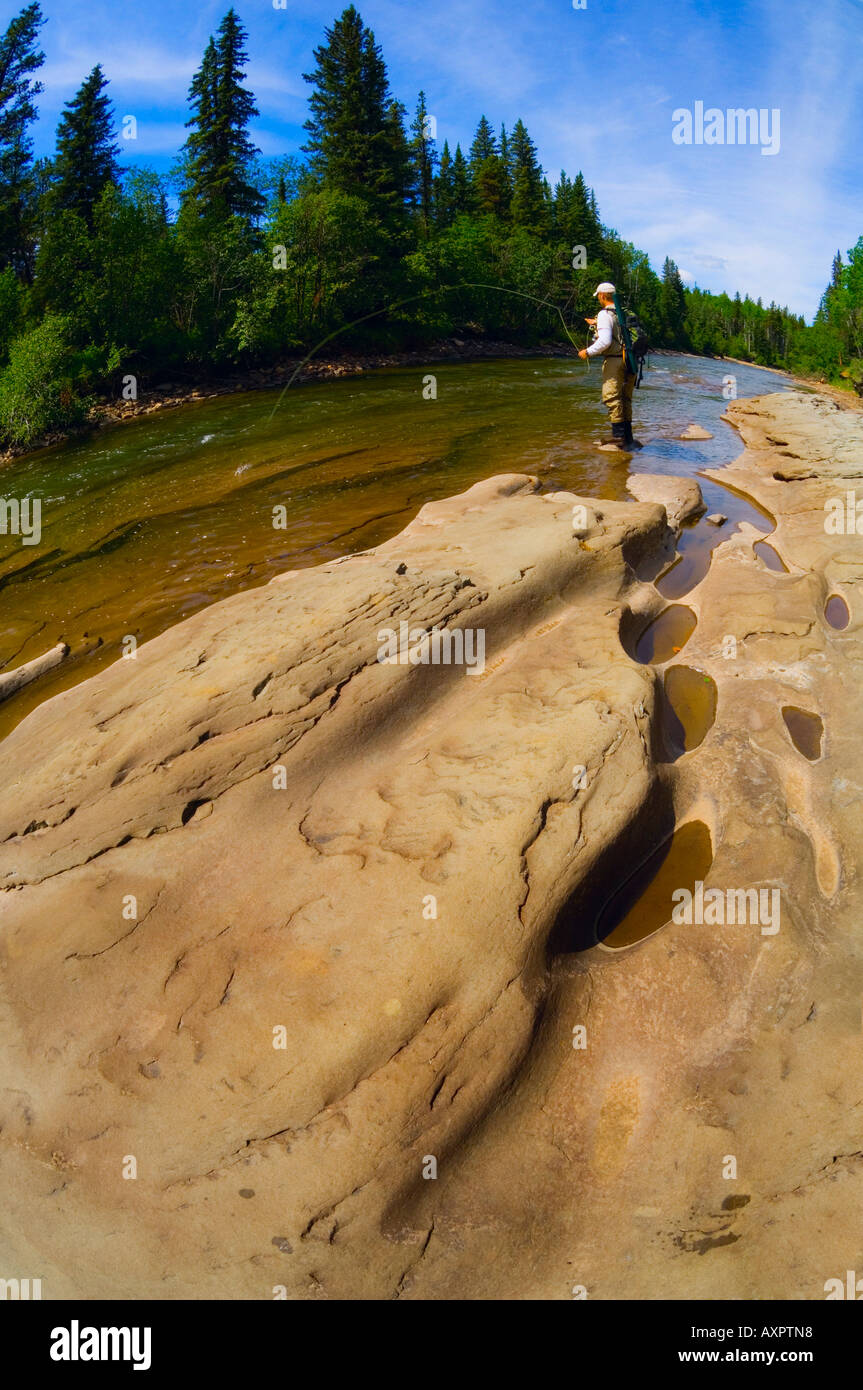 Fly fishing in Alberta Stock Photo Alamy