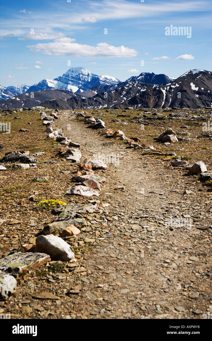 Rocky path hi-res stock photography and images - Alamy