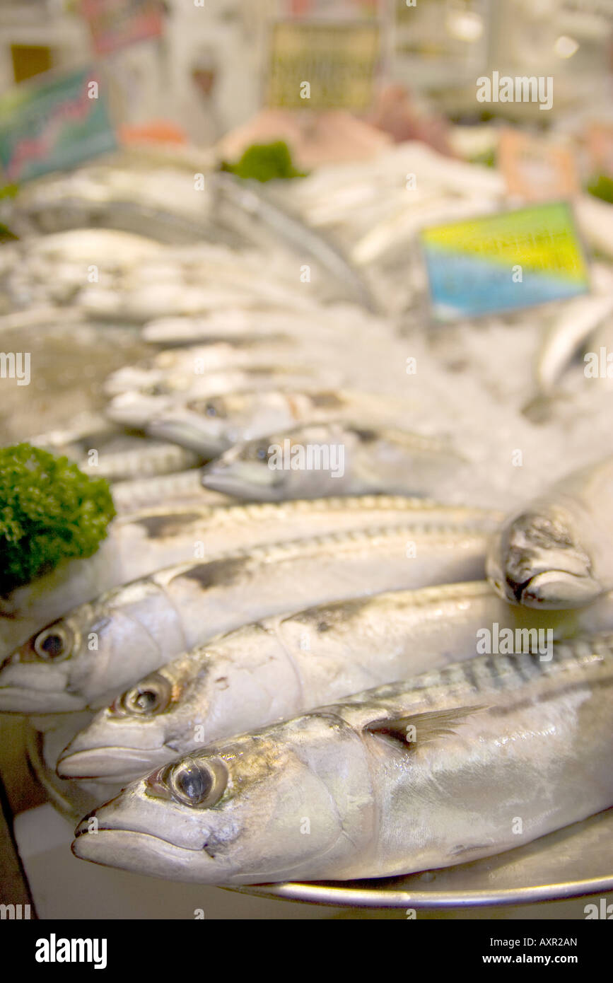 Fresh mackerel on display in the beresford street fish market St Helier