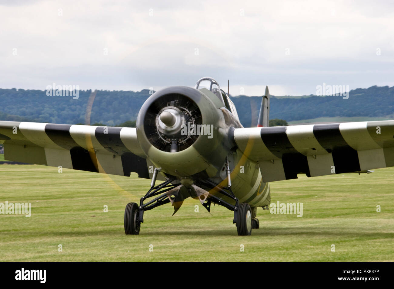 Grumman F4F Wildcat taxying Stock Photo