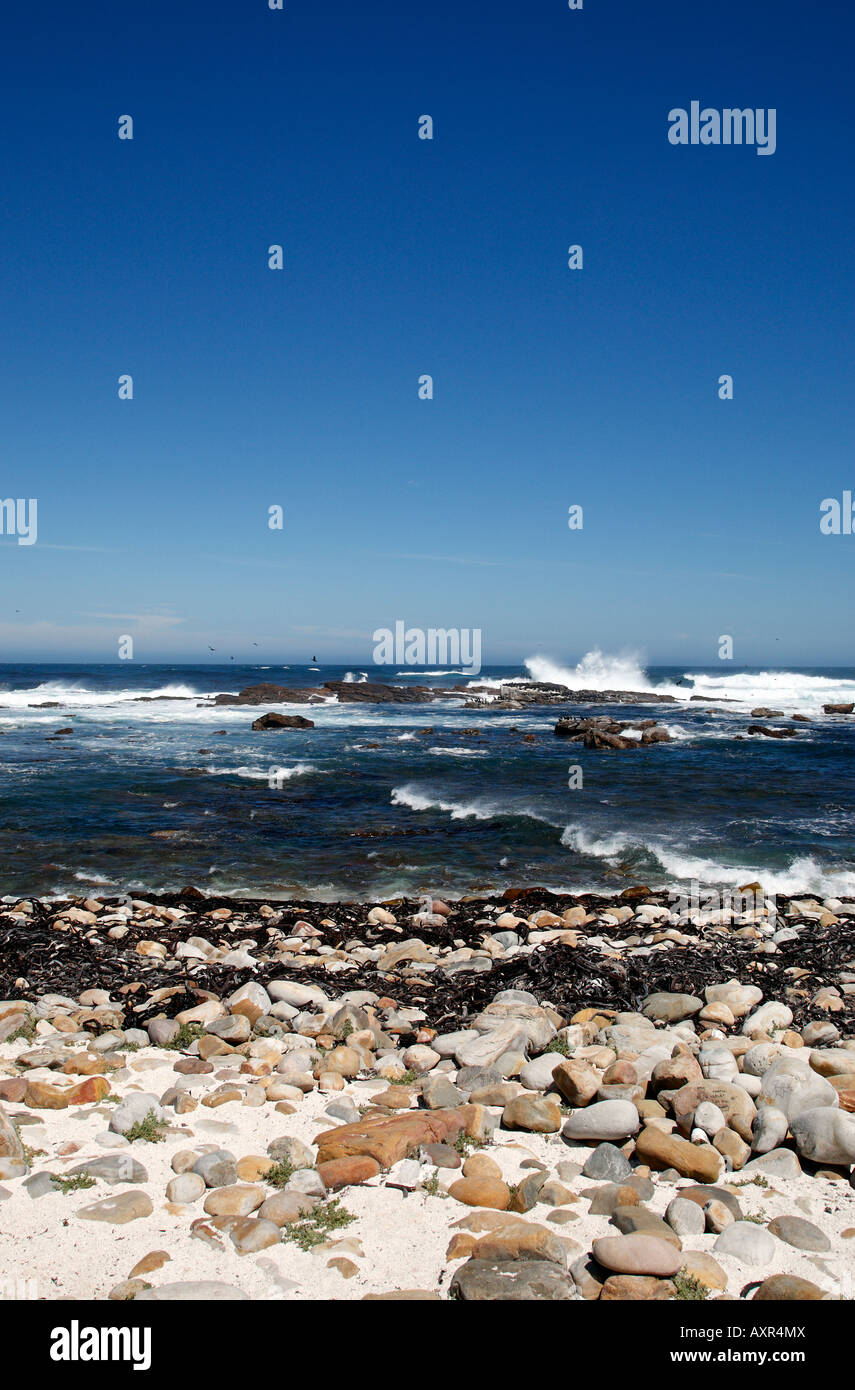 cape of good hope part of the table mountain national park cape town