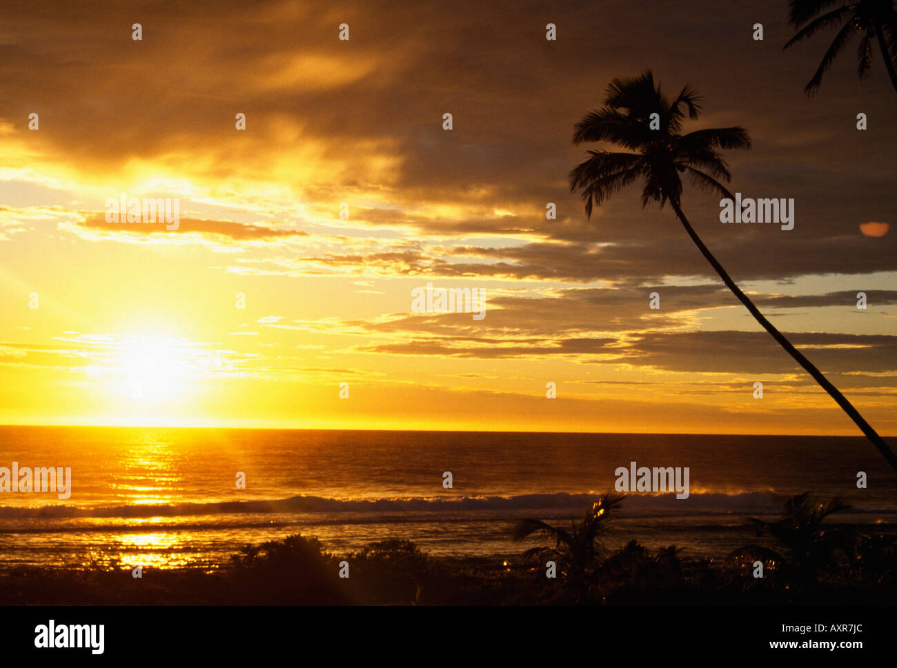 Beach ocean palm tree sunrise hi-res stock photography and images - Alamy