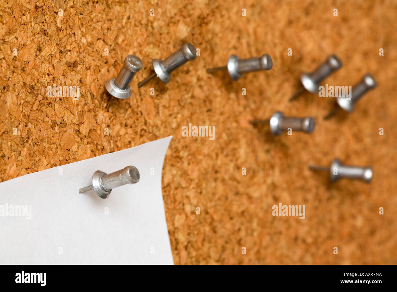 Tacks on cork board Stock Photo Alamy