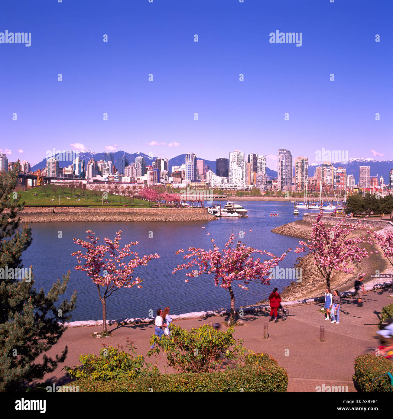 Skyline of Downtown Vancouver at False Creek in Spring and the North