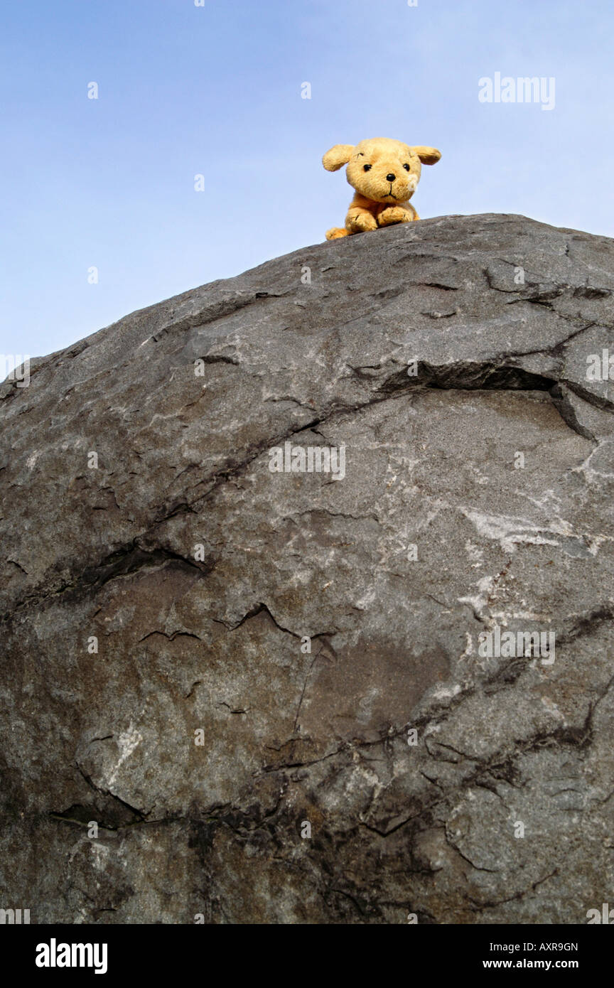 Stone pebble quarry watching climb blue sky top magic mystic rock Detva Slovakia yellow toy fluffy dog sad Stock Photo