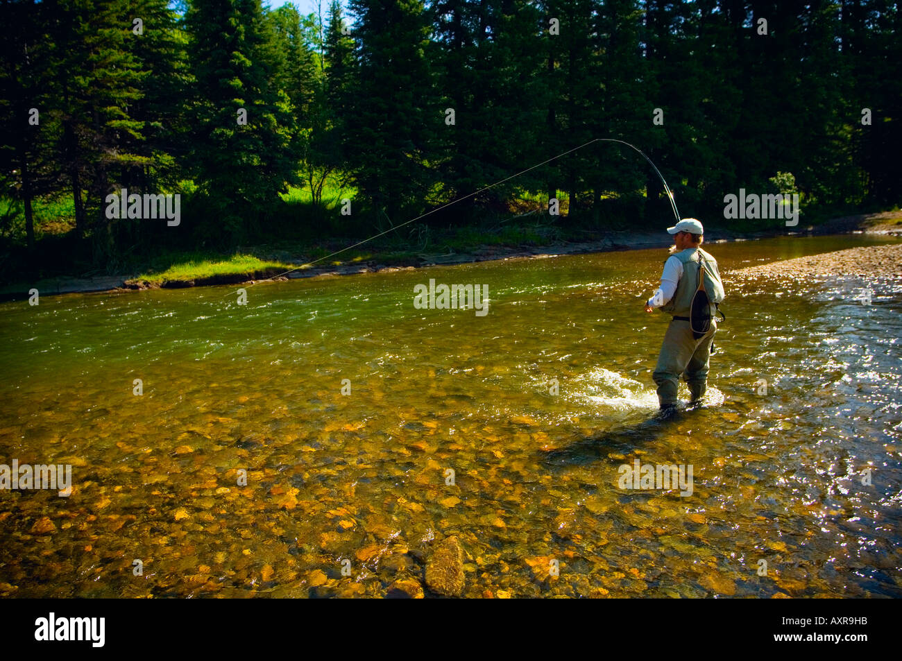 Fly fishing in a stream Stock Photo - Alamy